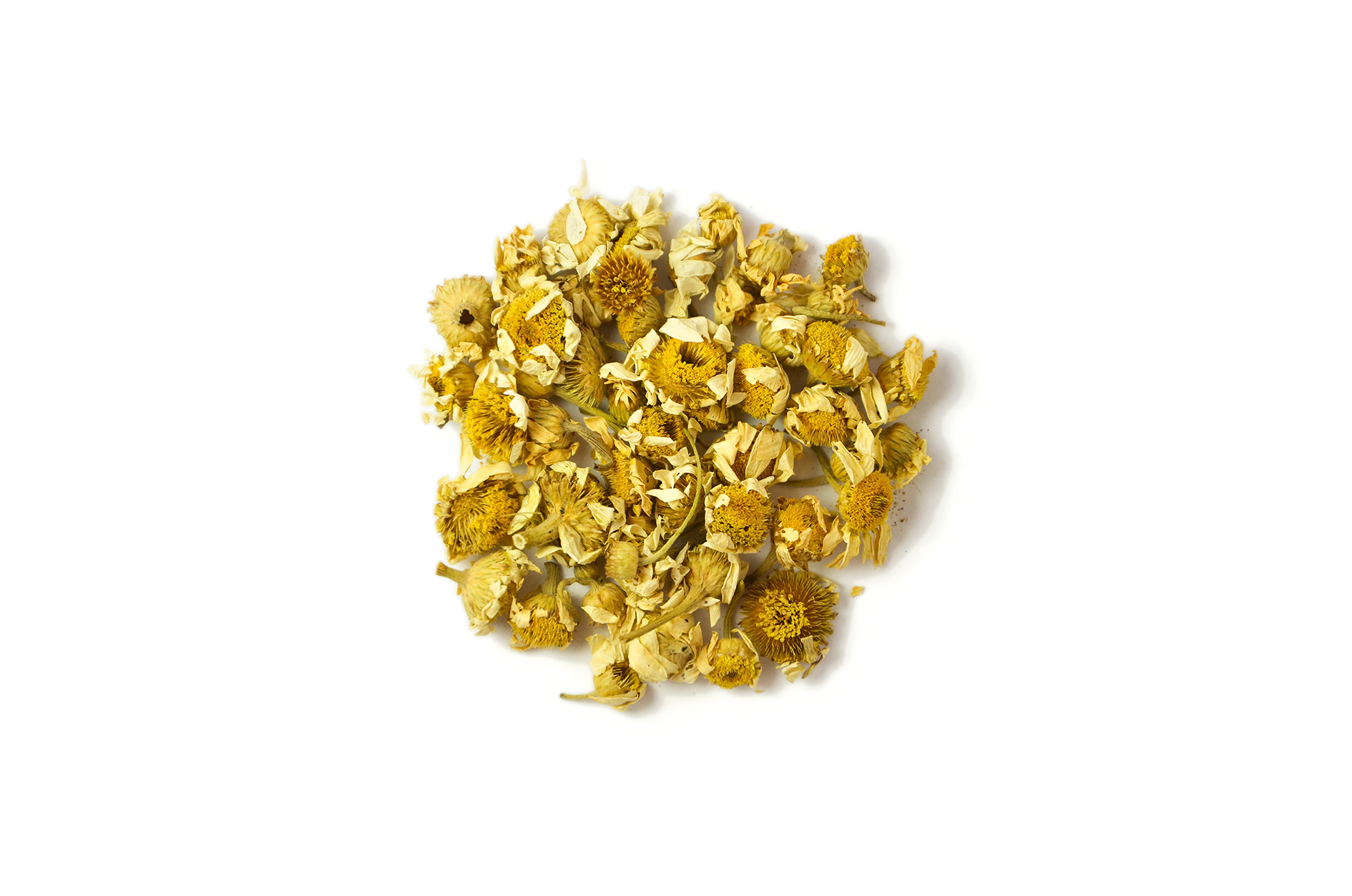 papatya çayı - teatub